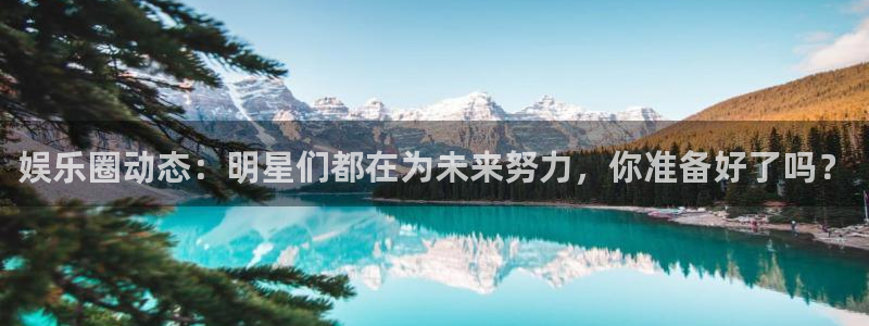 欧陆平台官网入口