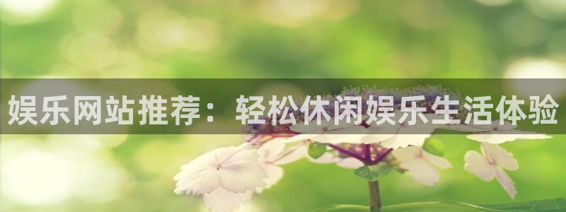 壹号大舞台网站