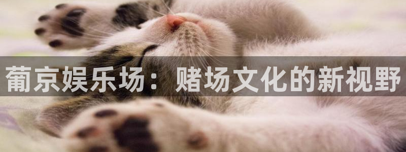 欧陆平台平台官方入口下载