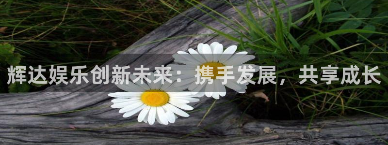 欧陆平台网站平台：辉达娱乐创新未来：携手发展，共享成长