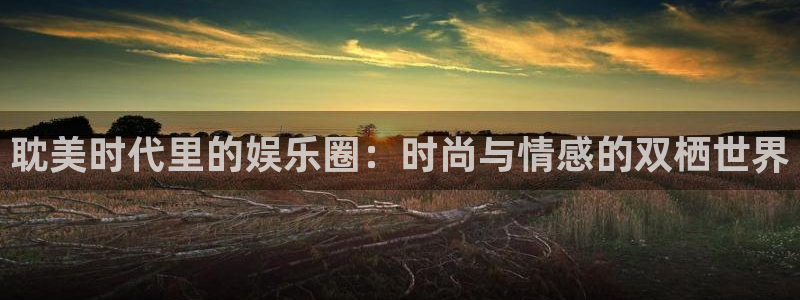 欧陆平台分红代理计划