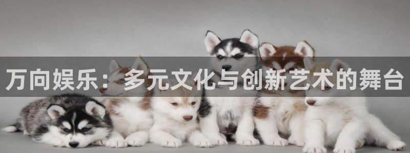 欧陆平台手机客户端下载安装