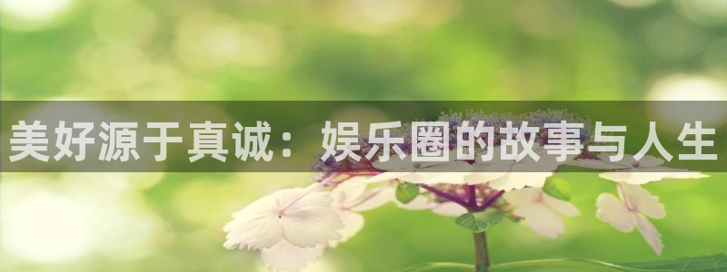 欧陆平台注册网站app
