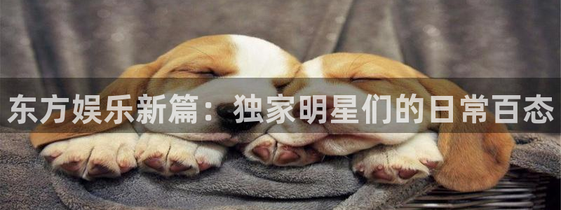 壹号玩家app下载