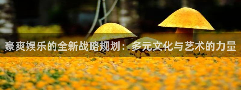 欧陆平台平台官方入口：豪爽娱乐的全新战略规划：多元文化与艺术的力量