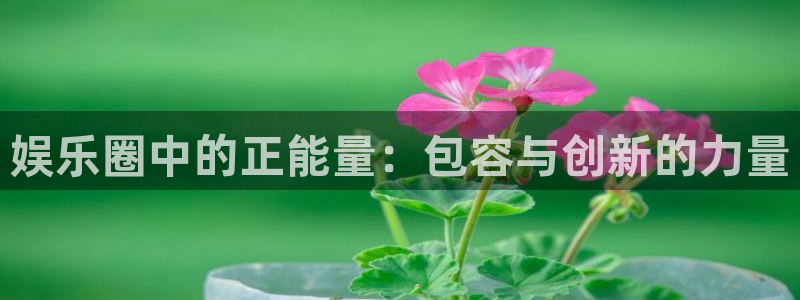 欧陆平台注册平台：娱乐圈中的正能量：包容与创新的力量