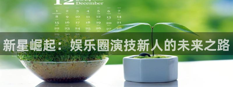 欧陆平台手机客户端下载安装：新星崛起：娱乐圈演技新人的未来之路