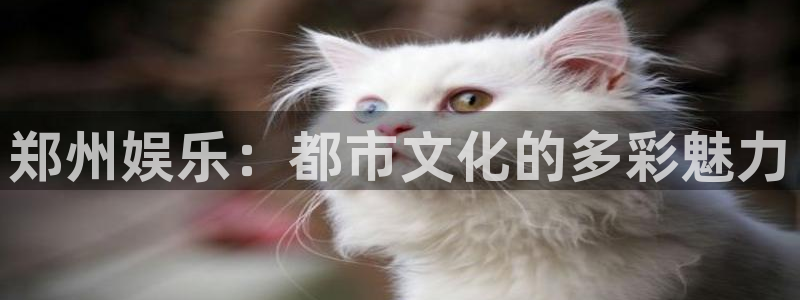 壹号电子娱乐app下载官网：郑州娱乐：都市文化的多彩魅力