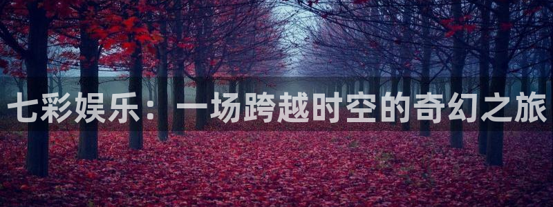 欧陆平台是大平台吗：七彩娱乐：一场跨越时空的奇幻之旅