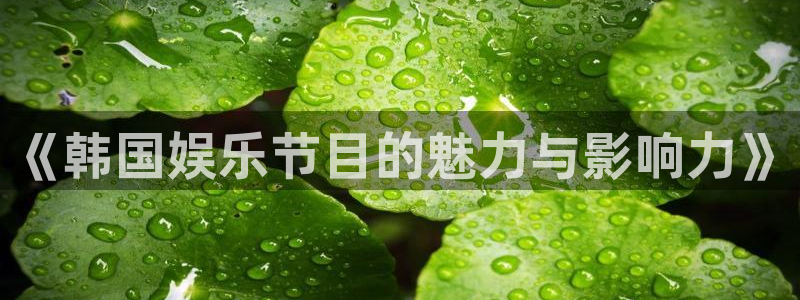 欧陆平台pg