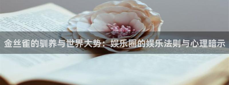 欧陆平台放水时间