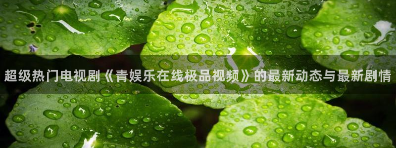 欧陆平台分红代理计划
